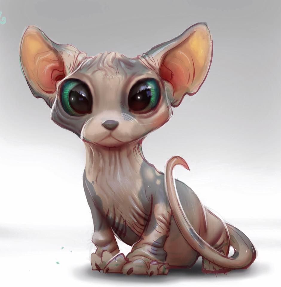 Сфинкс кошка арт