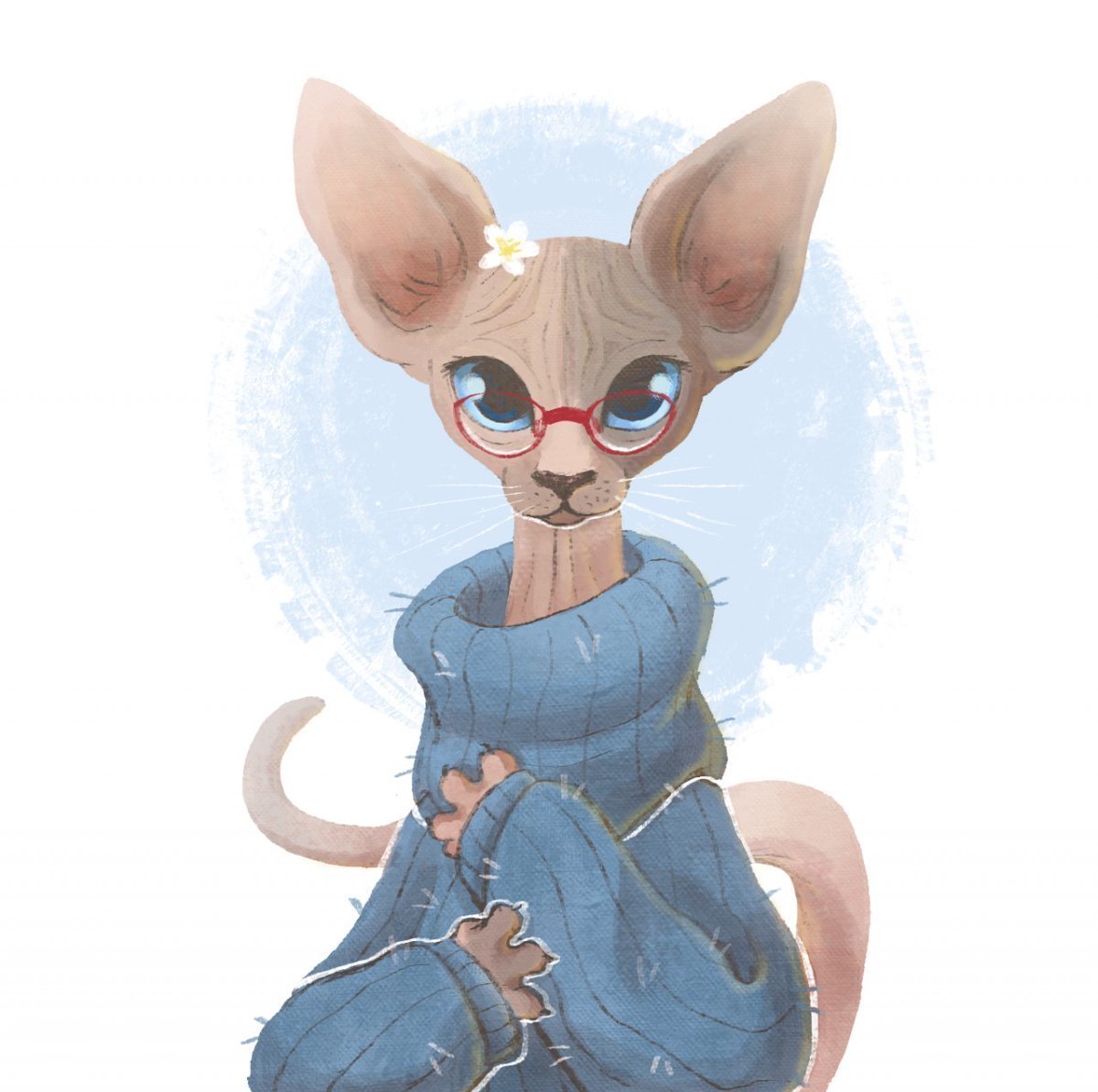 Сфинкс кошка