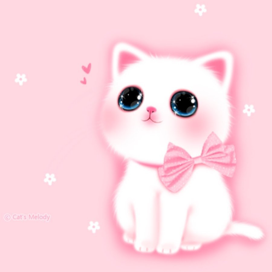 Милый розовый котик