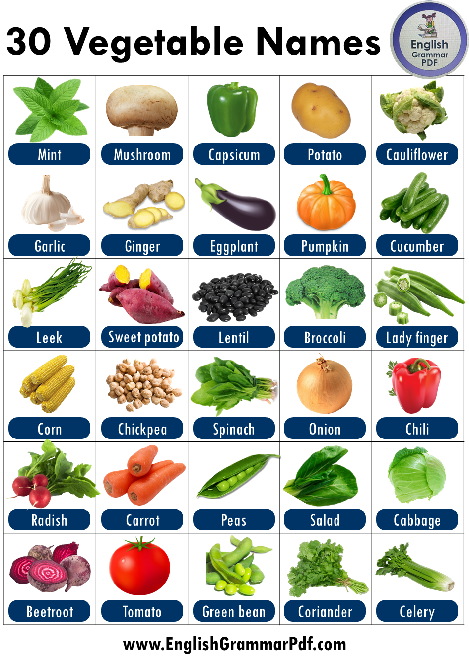Vegetables names