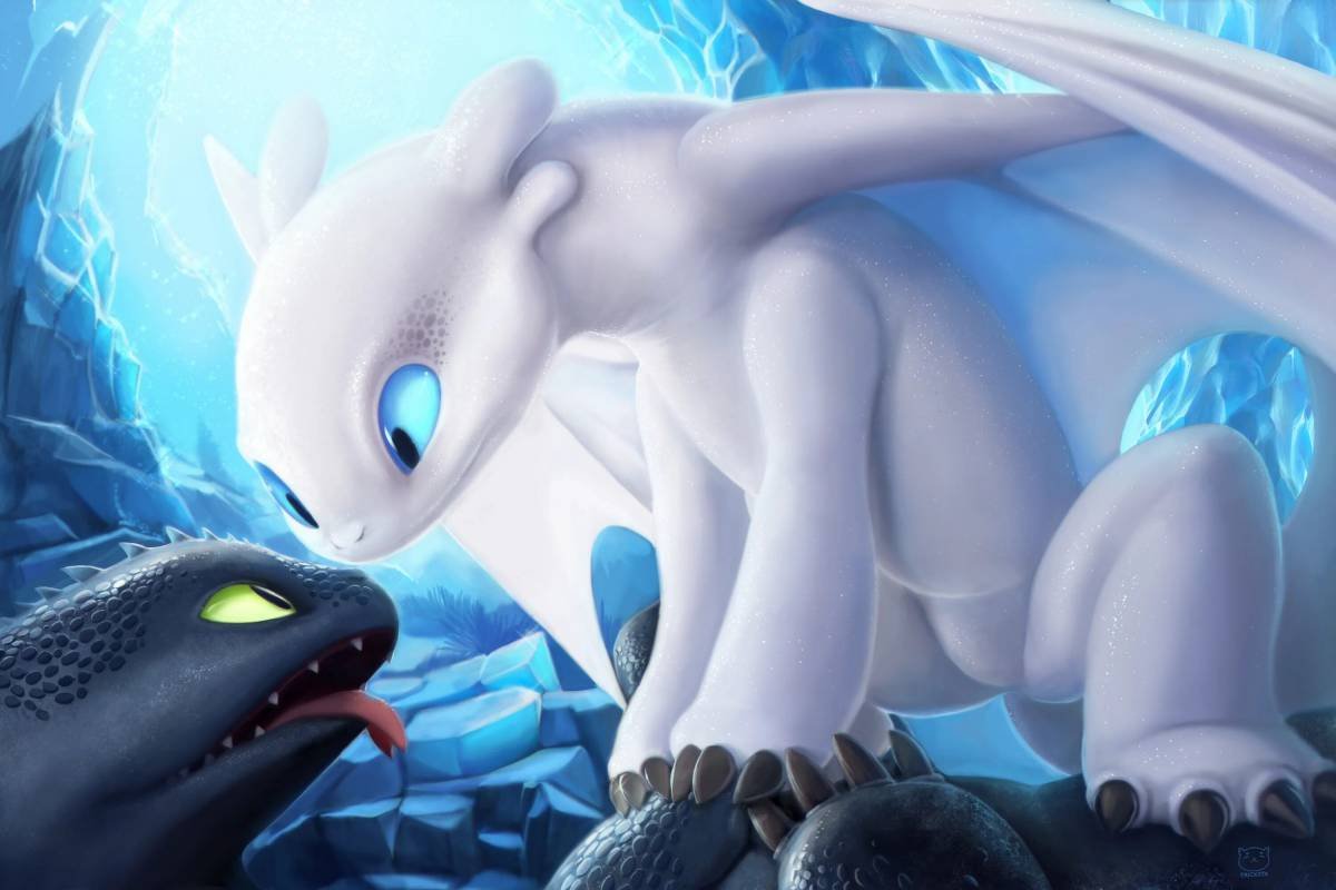 Toothless and Light Fury