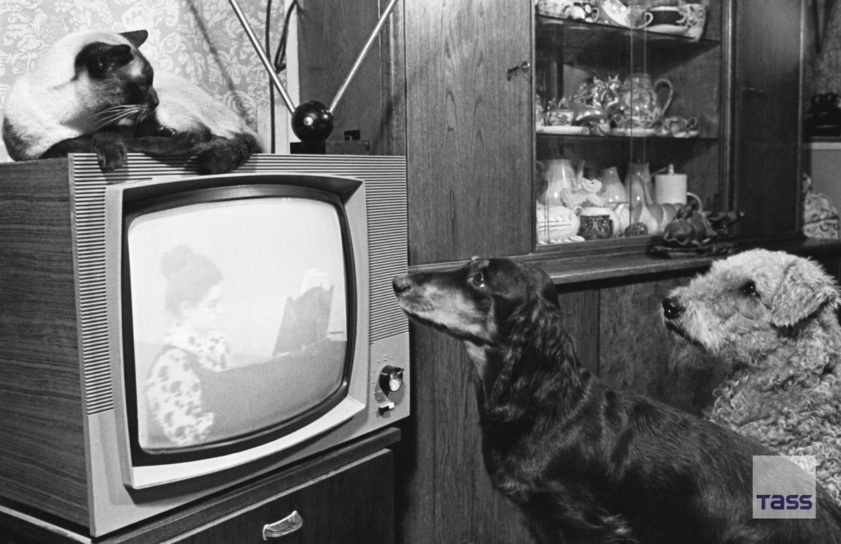 Телевизор 1977 года