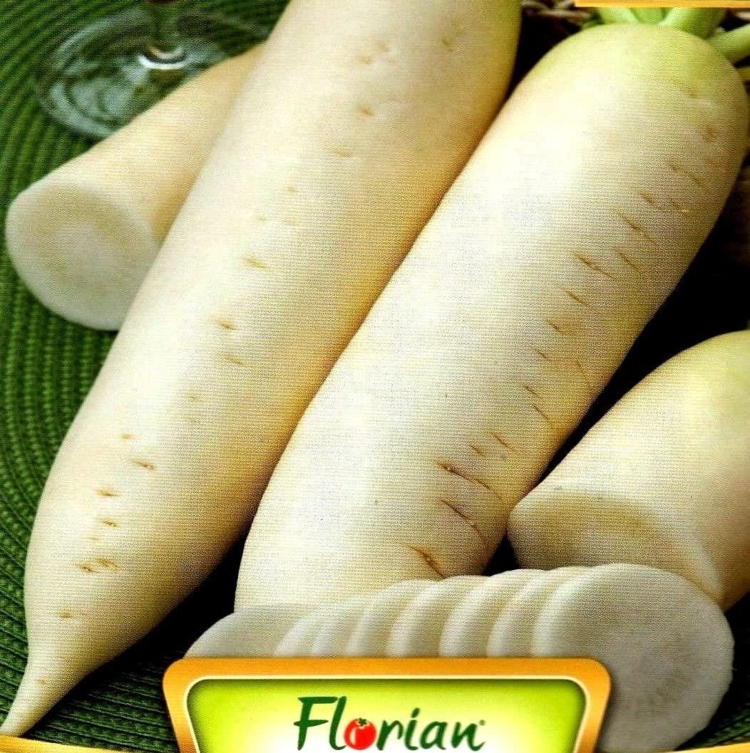 Картофель дайкон