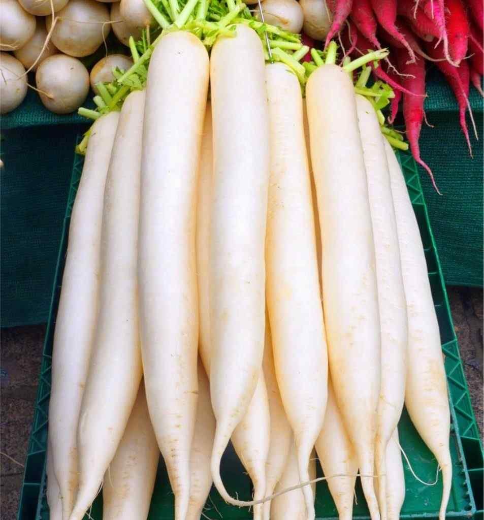 Белая редька дайкон