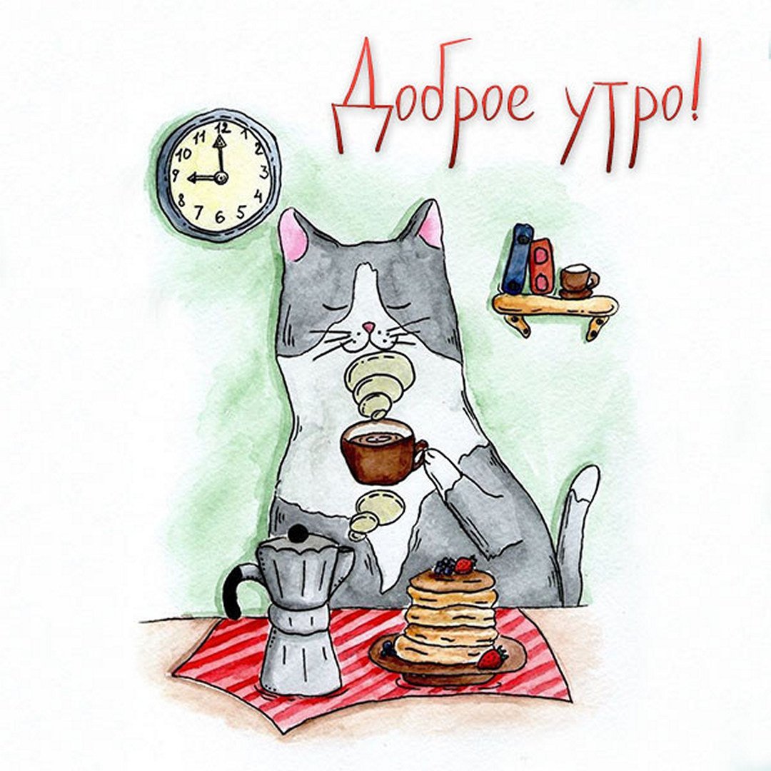 Котик пьет кофе