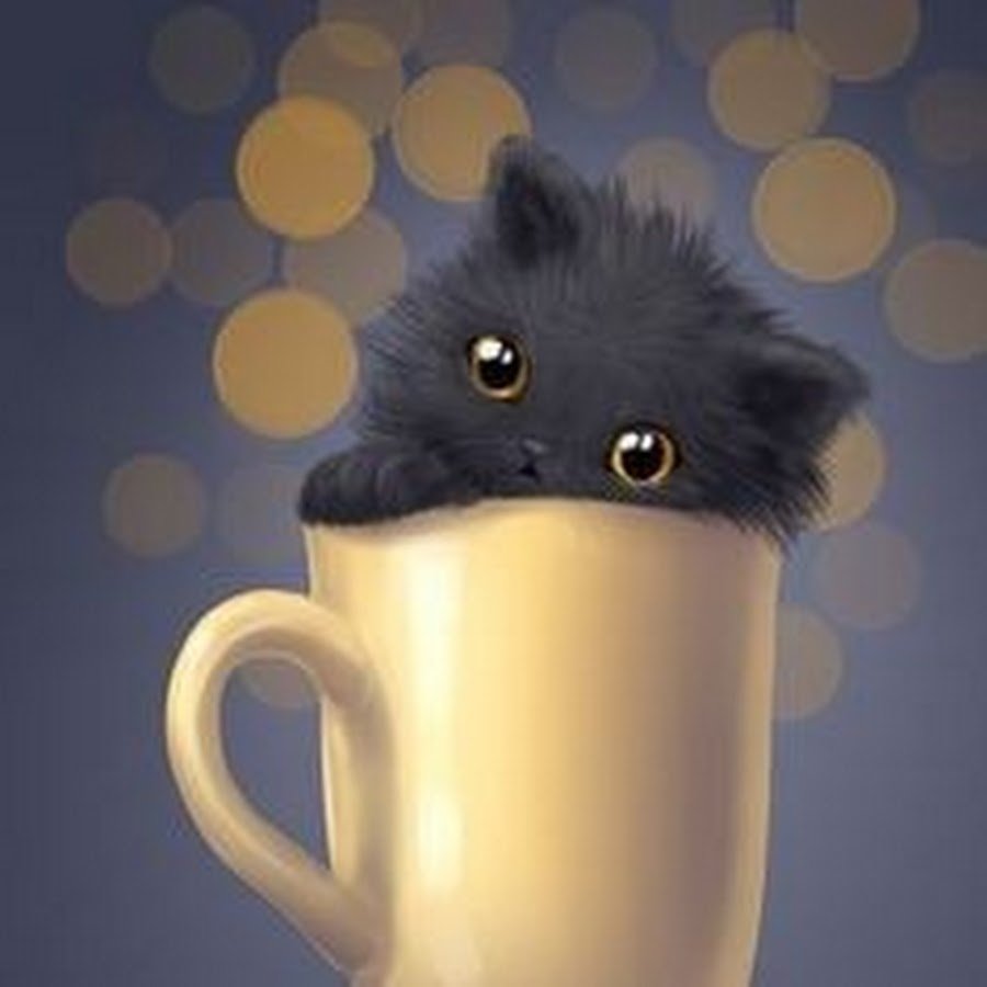 Кот в чашке