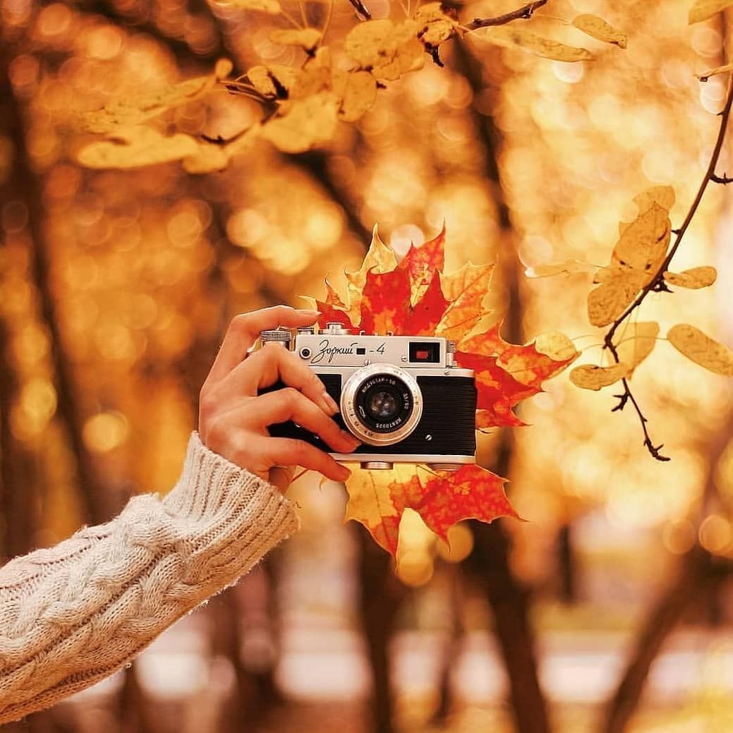Фотоаппарат осенью