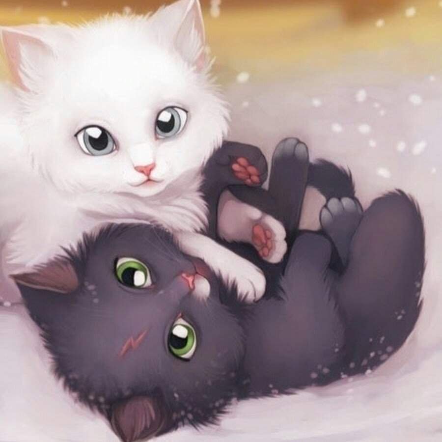 Красивые мультяшные коты