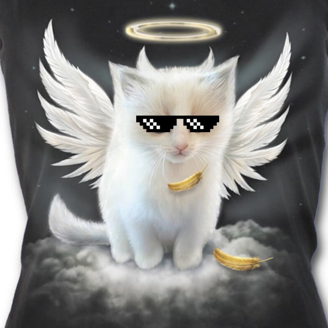 Кошка ангел