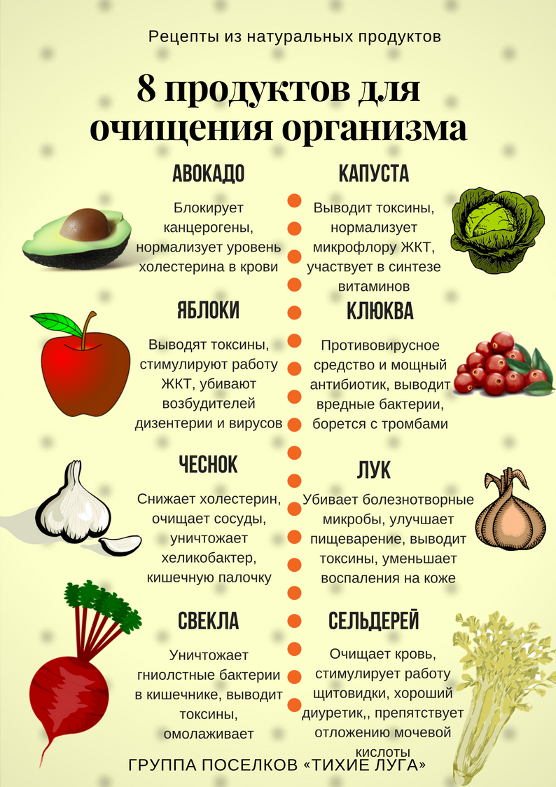 Продукты для очищения организма