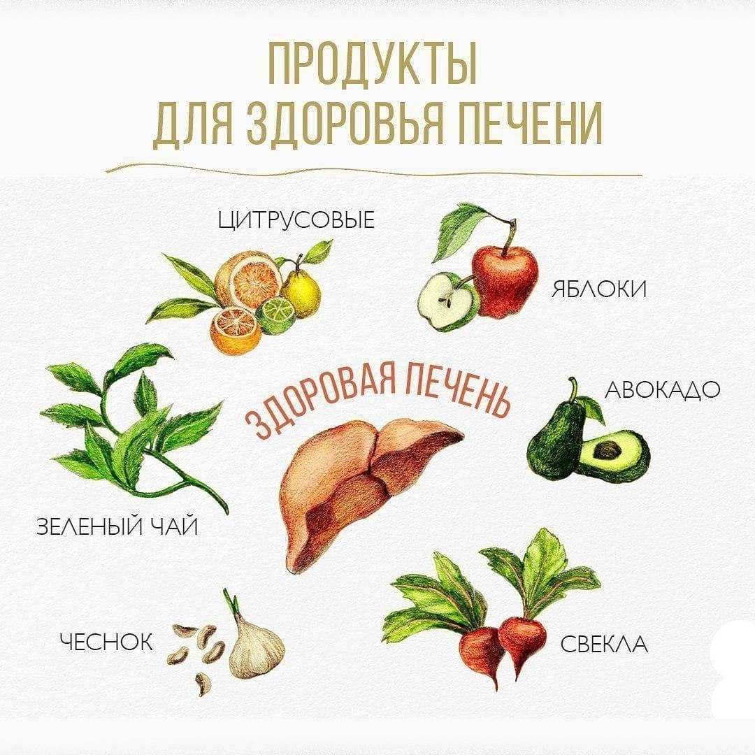 Продукты для печени