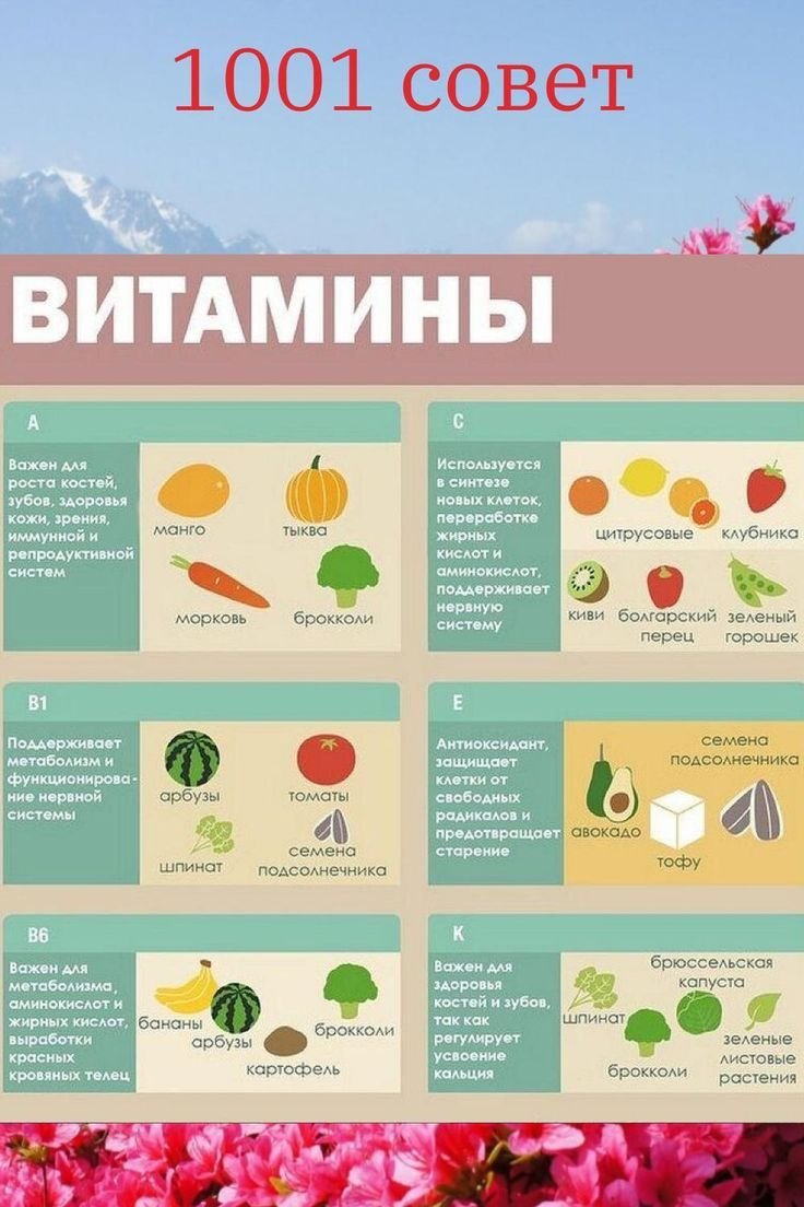 Правильное питание инфографика