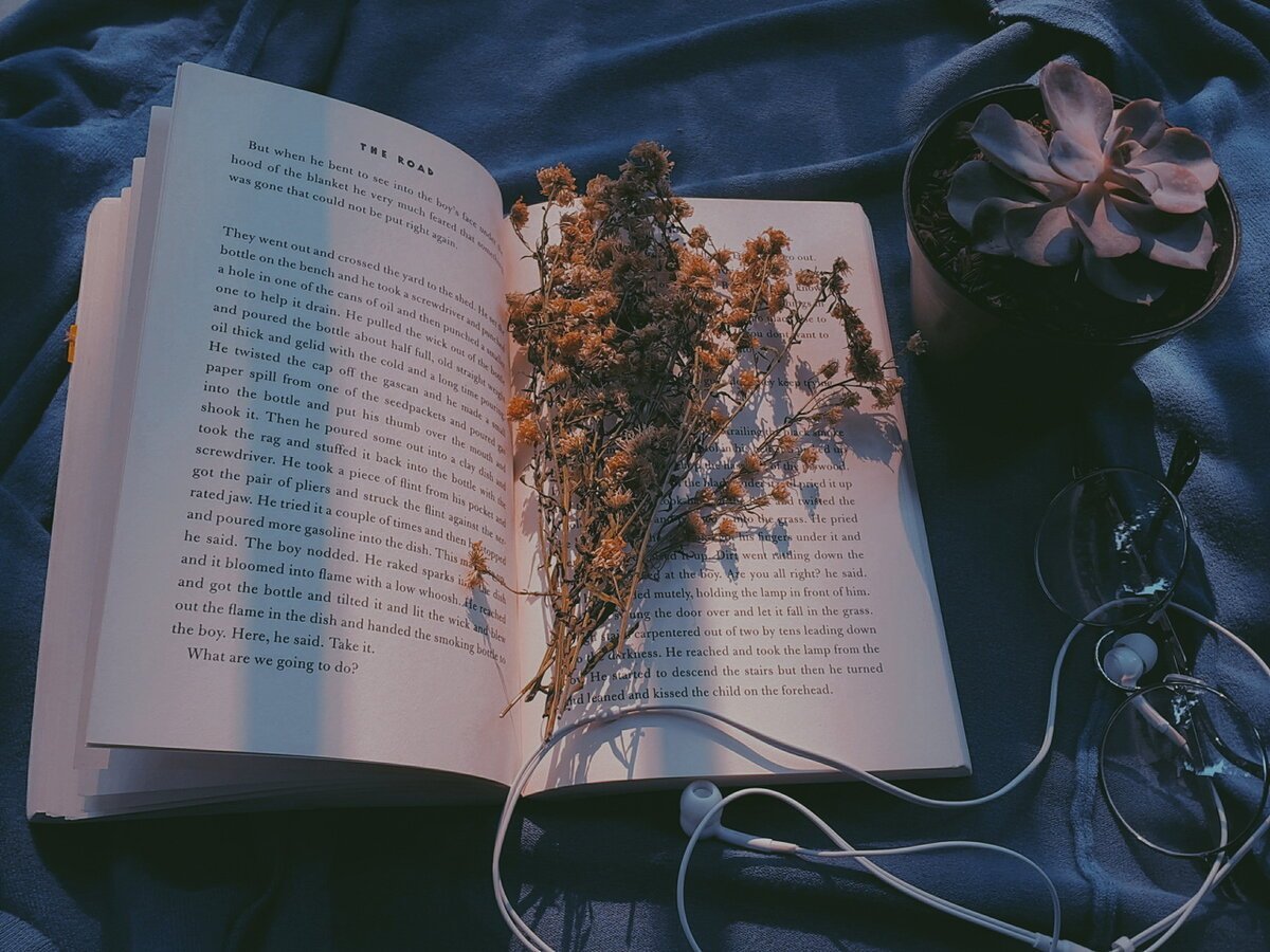 Эстетика книг и цветов