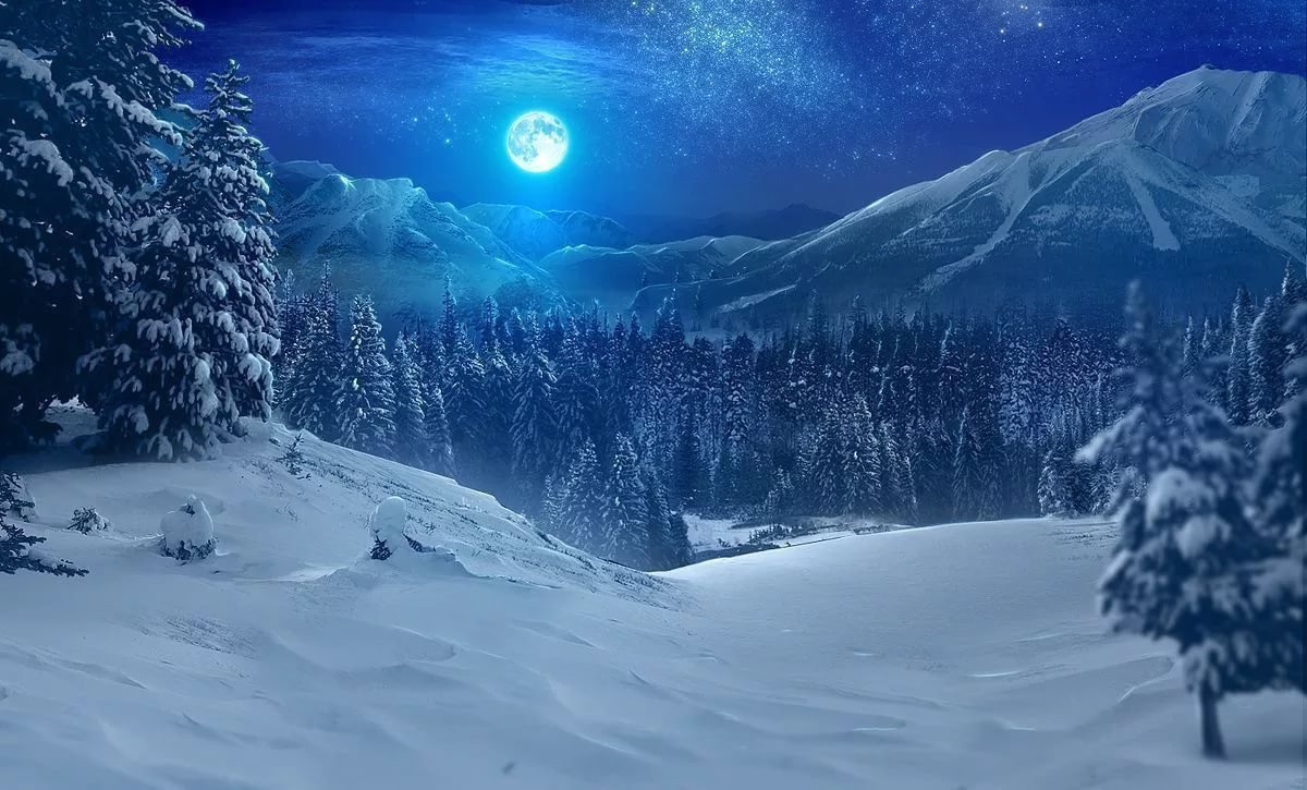 Сказочный зимний лес