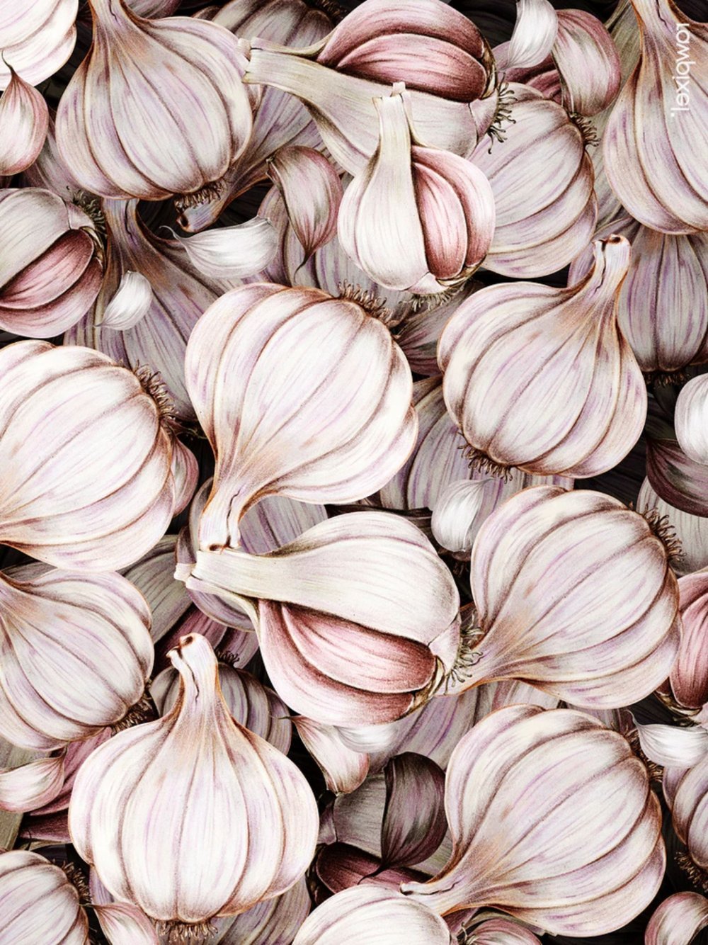 Чеснок garlic