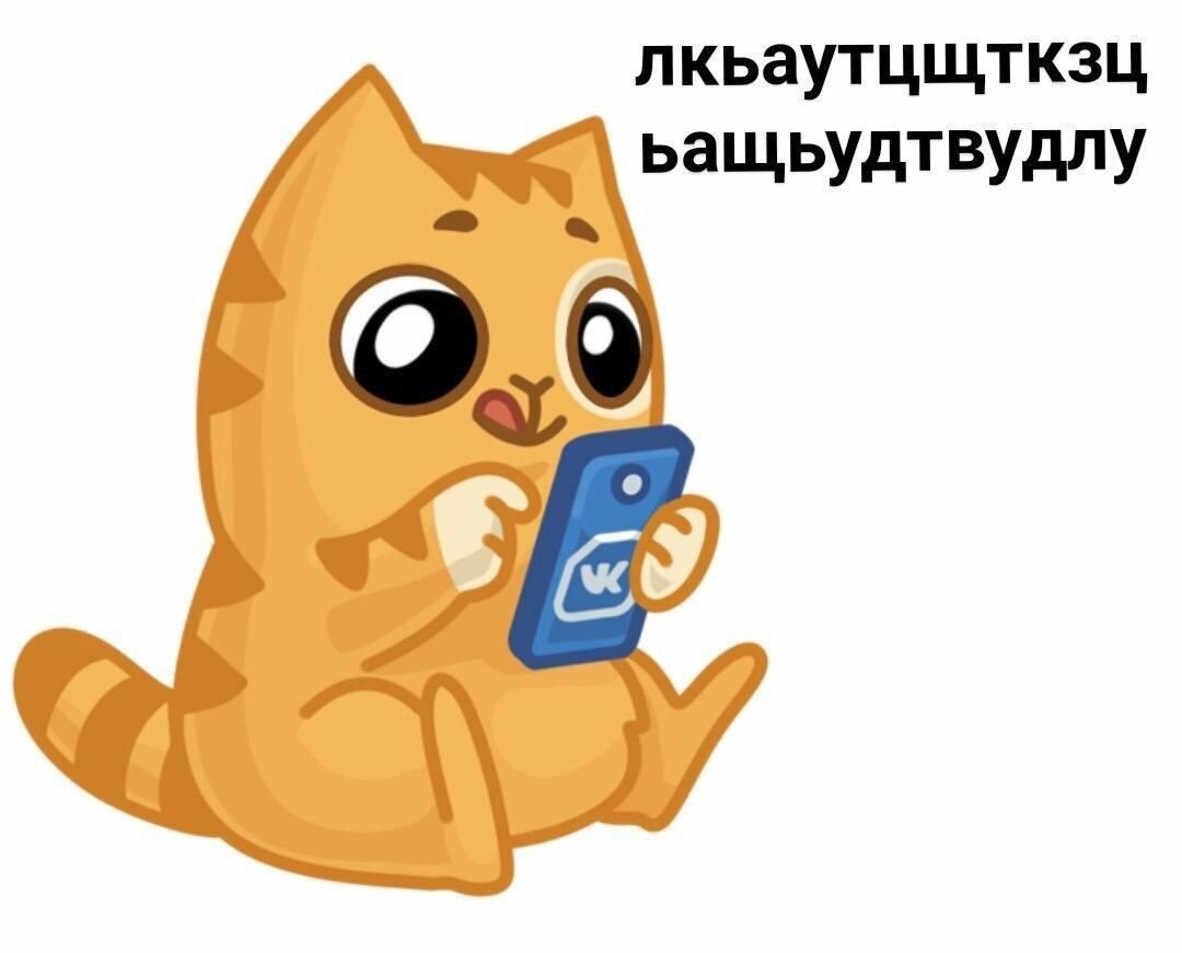 Стикер кот в шоке