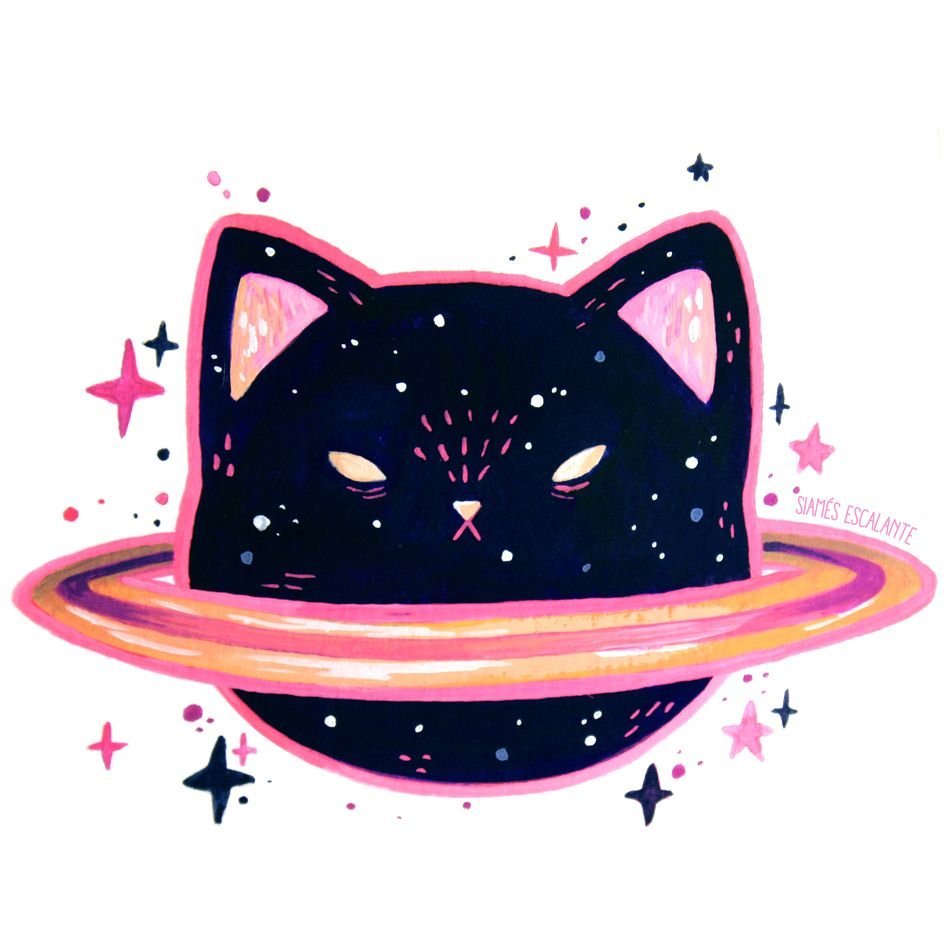 Космический котик арт