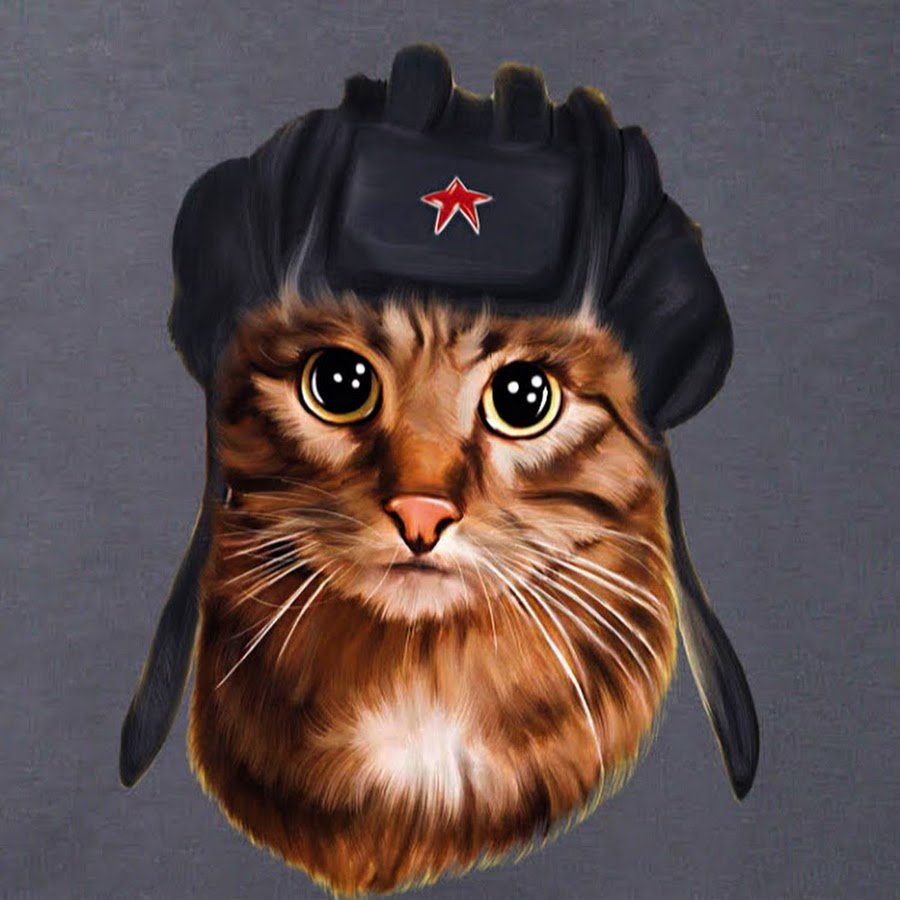Кот танкист