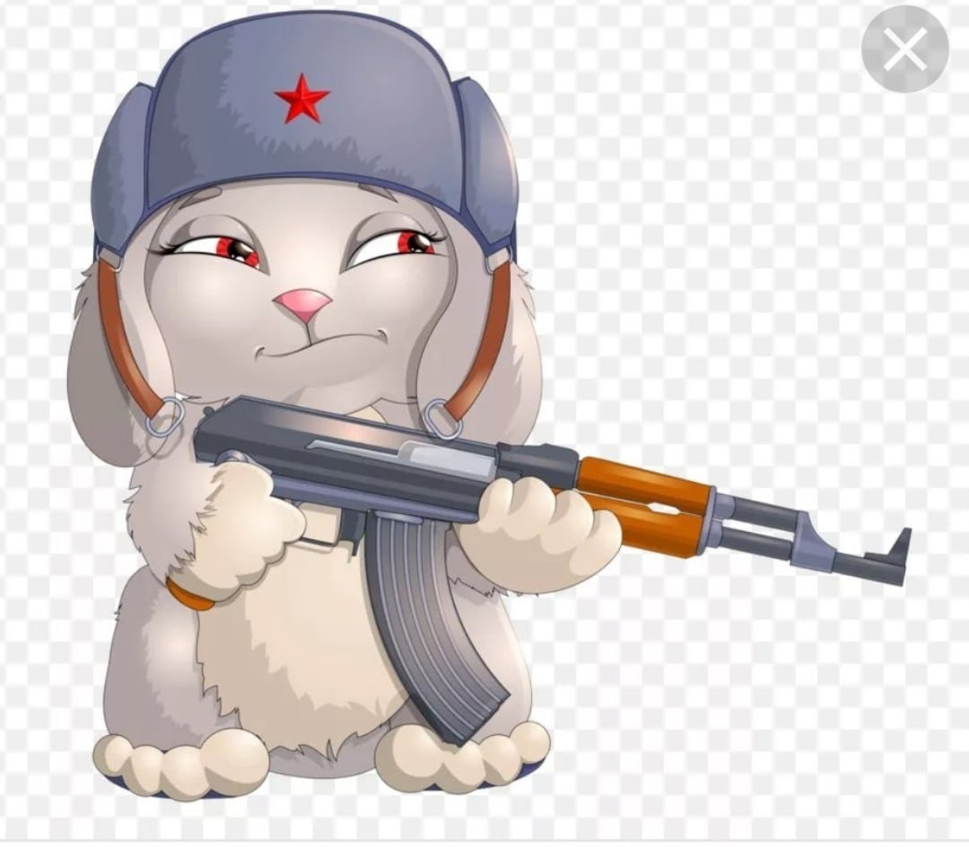 Котик в каске