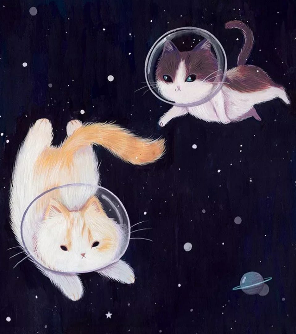 Милые космические котики