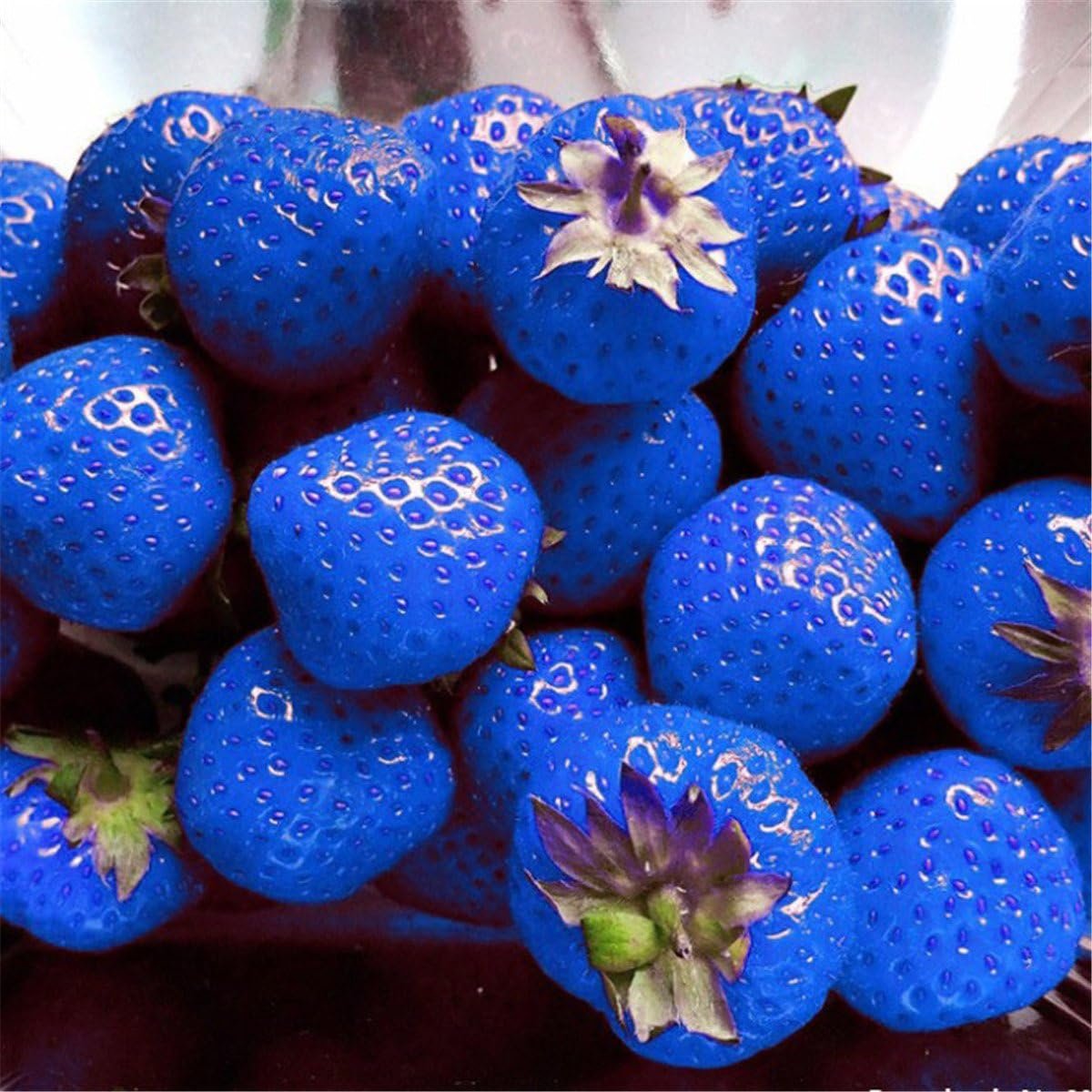 Бывает синяя клубника