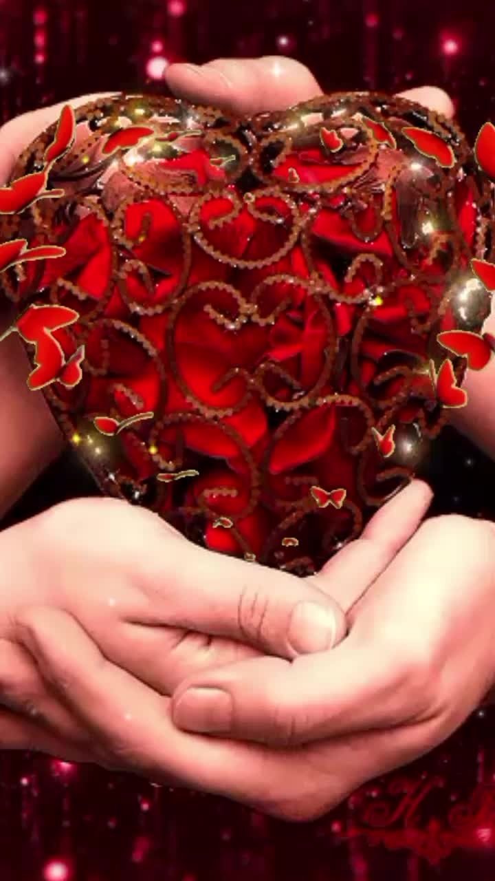 Сердце в ладонях