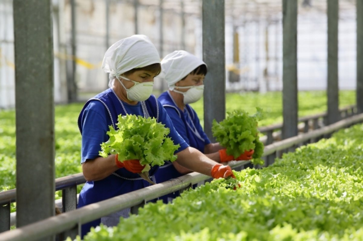 Качество продуктов