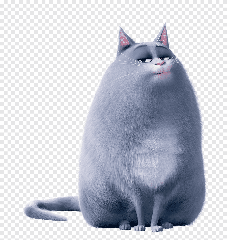 Кошка Хлоя