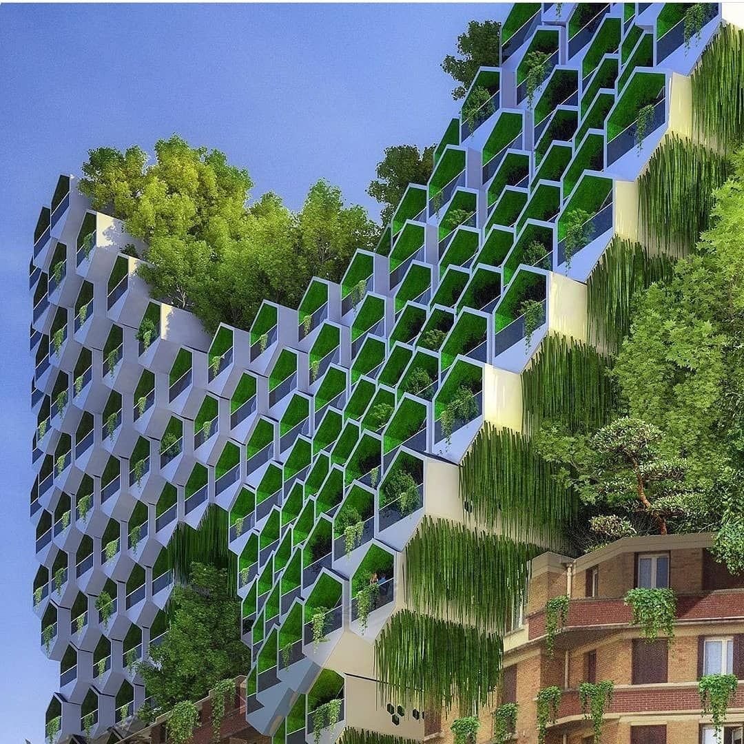 Париж 2050 Венсан Каллебо