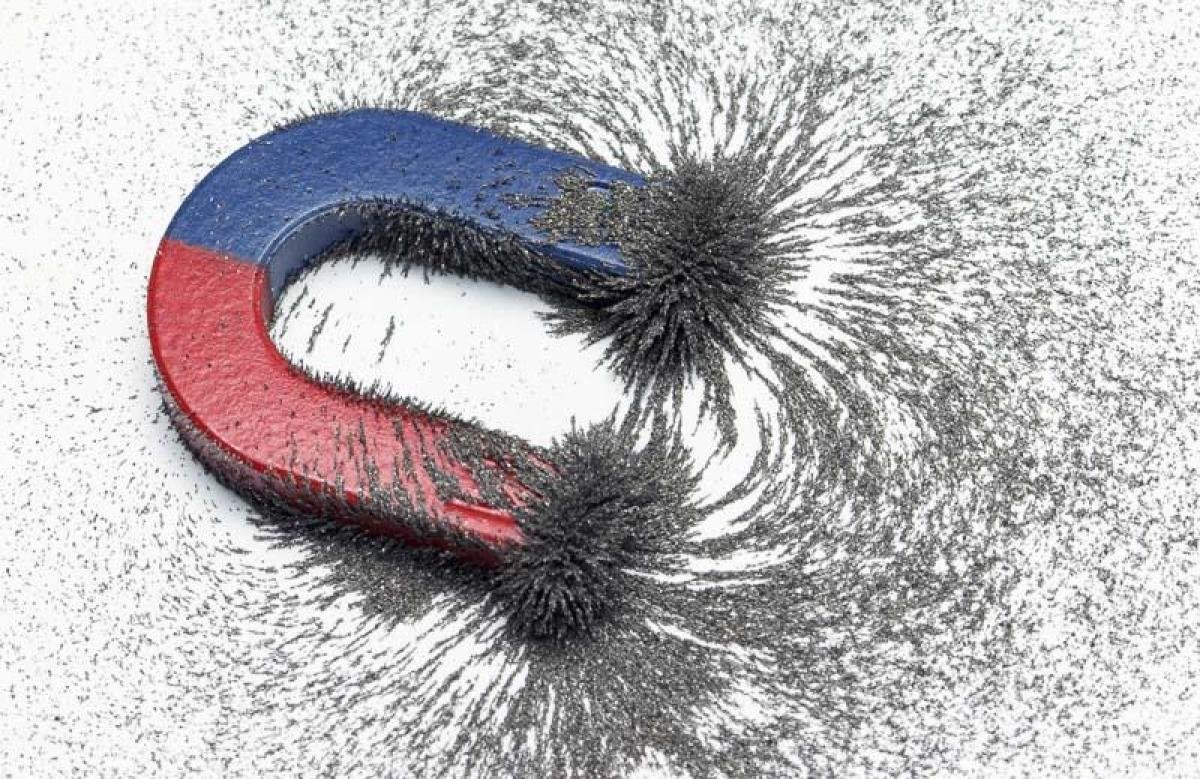 Секреты притяжения магнетизма