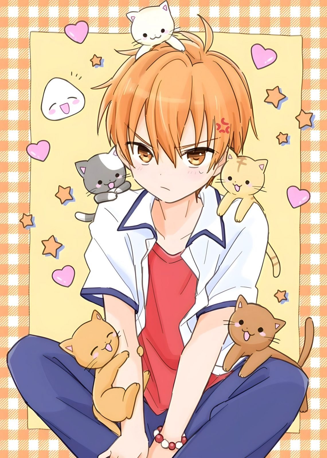 Баскет кошка