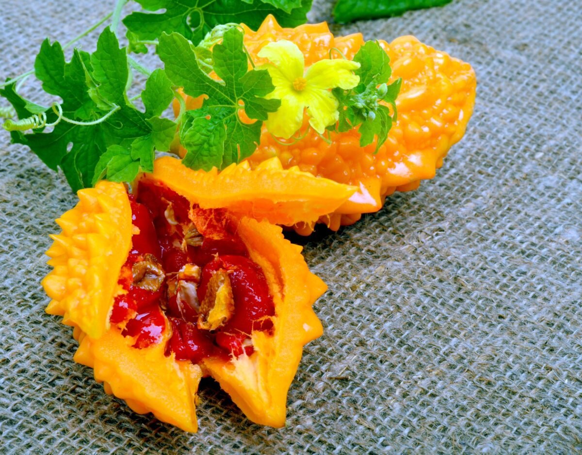 Момордика кохинхинская