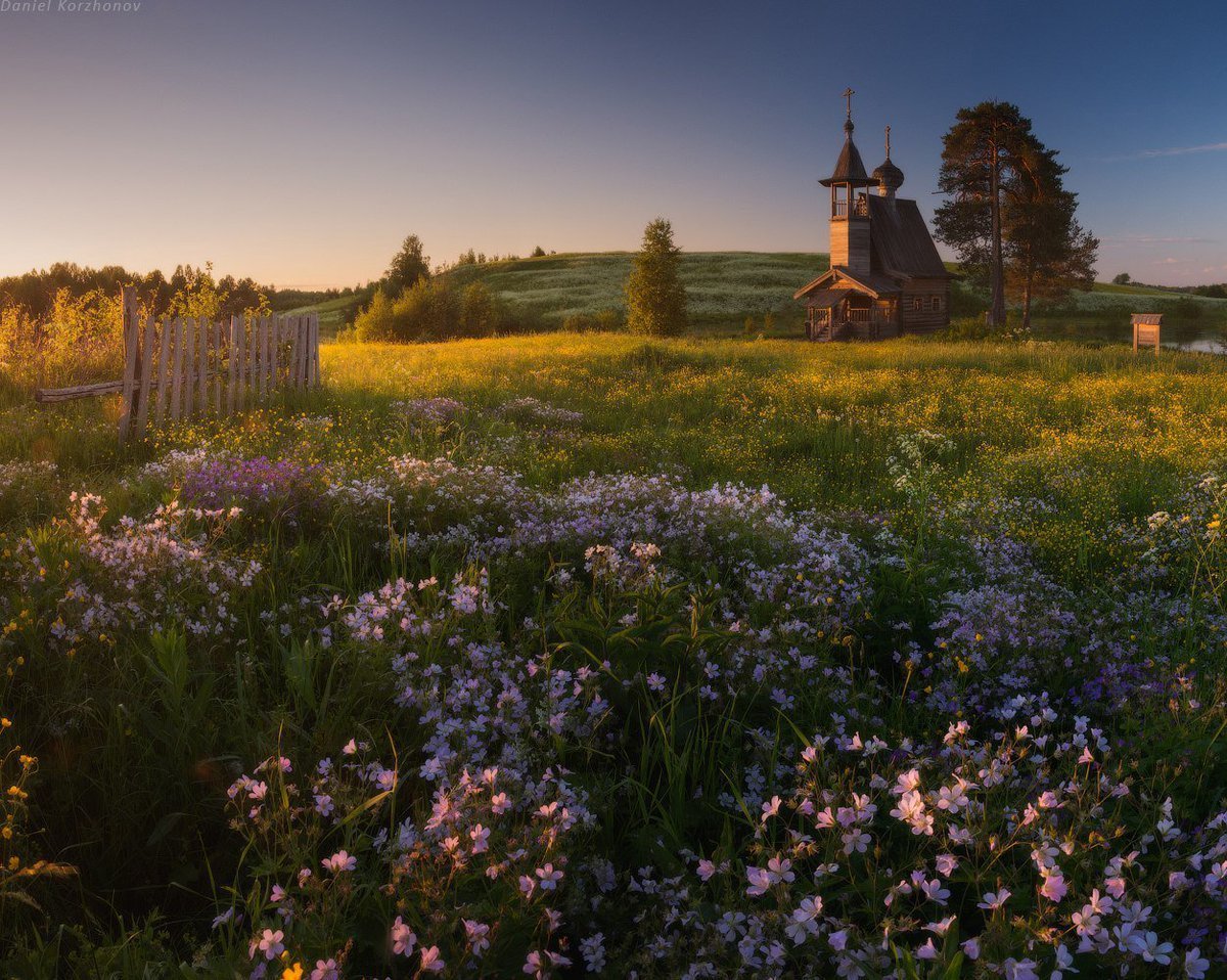 Природа архангельской области