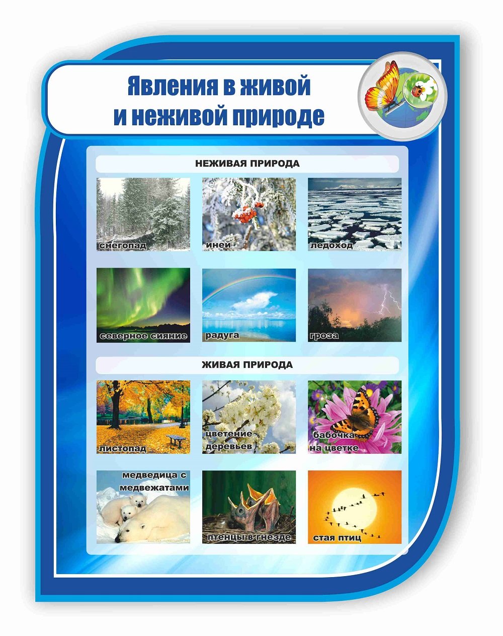 Явления живой природы