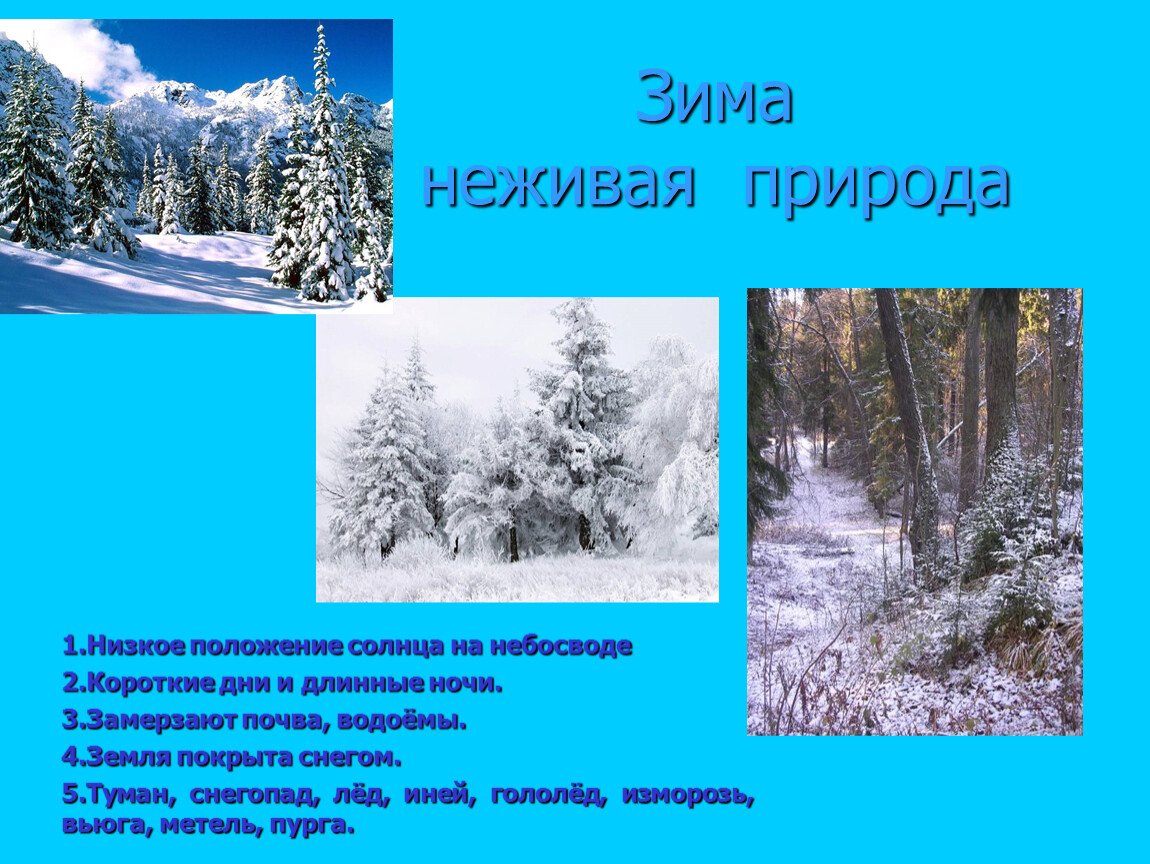 Неживая природа зимой