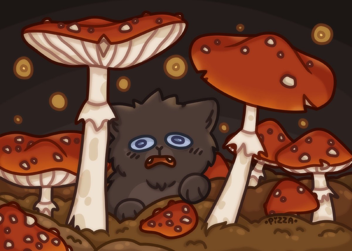 Кот мухомор
