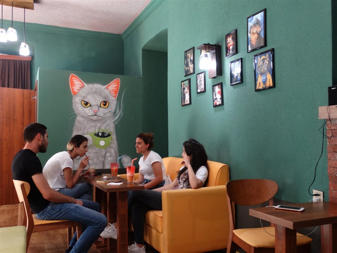 Котокафе Котиссимо, Москва, новая Басманная улица
