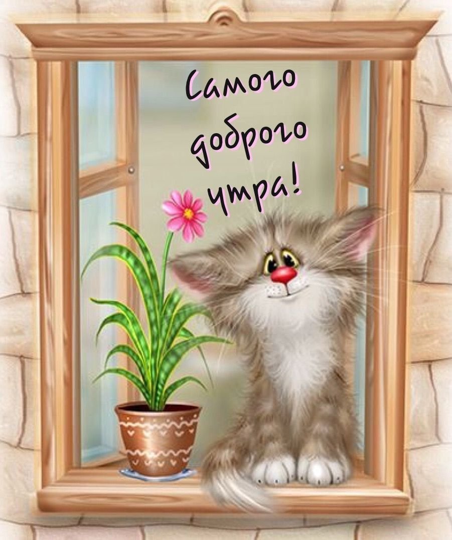 Серенькая кошечка