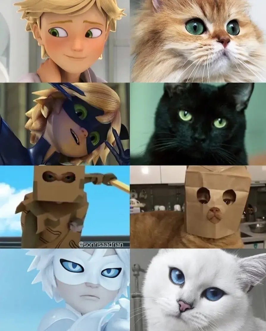 Адриан Агрест белый кот