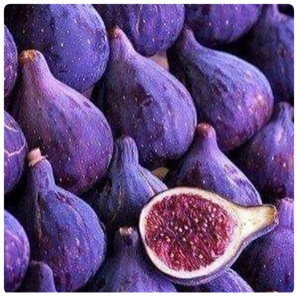 Овощи фиолетового цвета