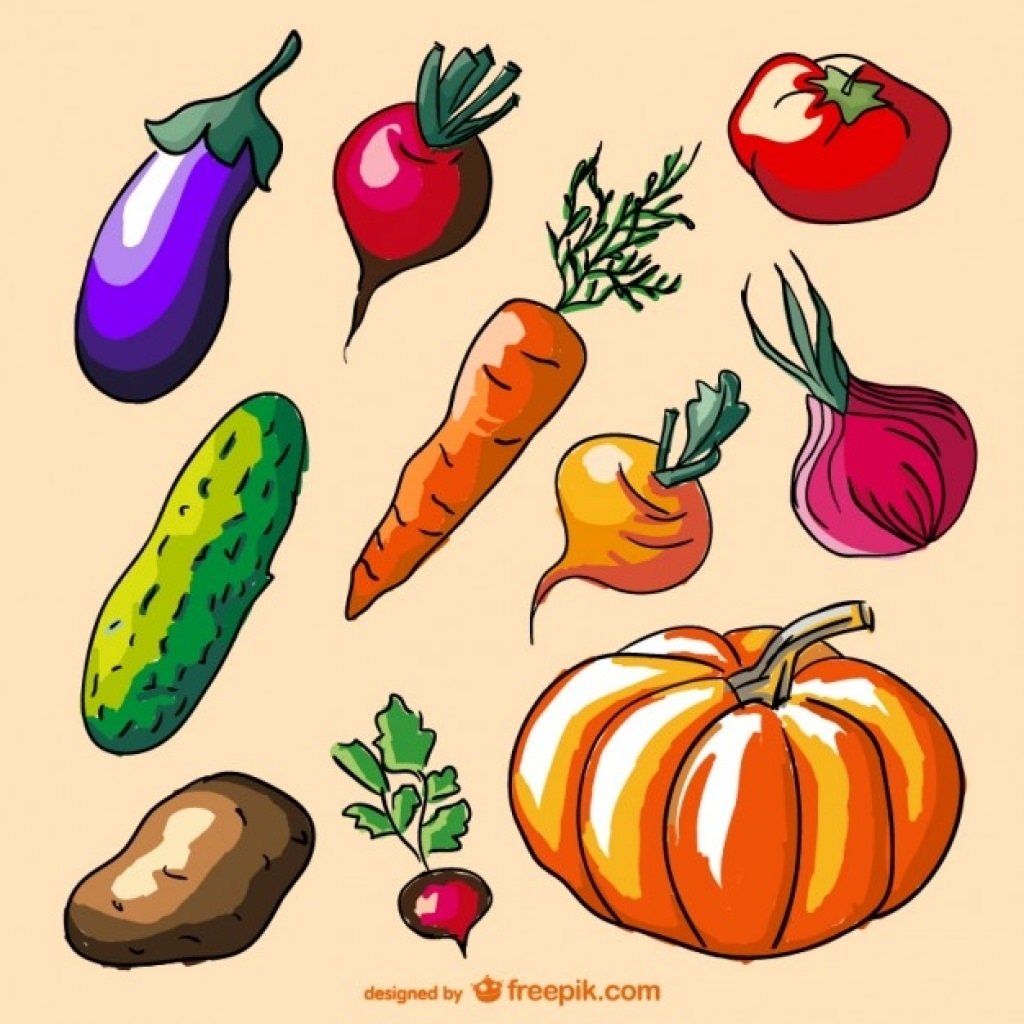 Овощи рисунок для детей