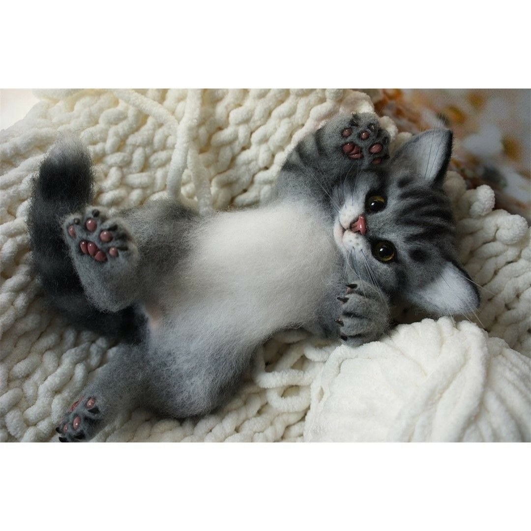 Котик валяние