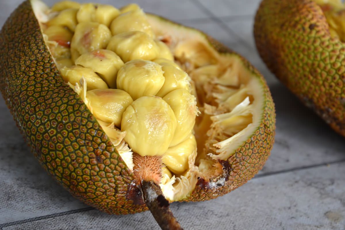 Cempedak фрукт