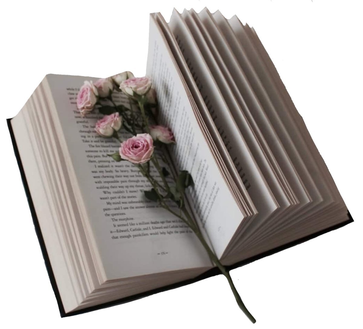 Раскрытая книга