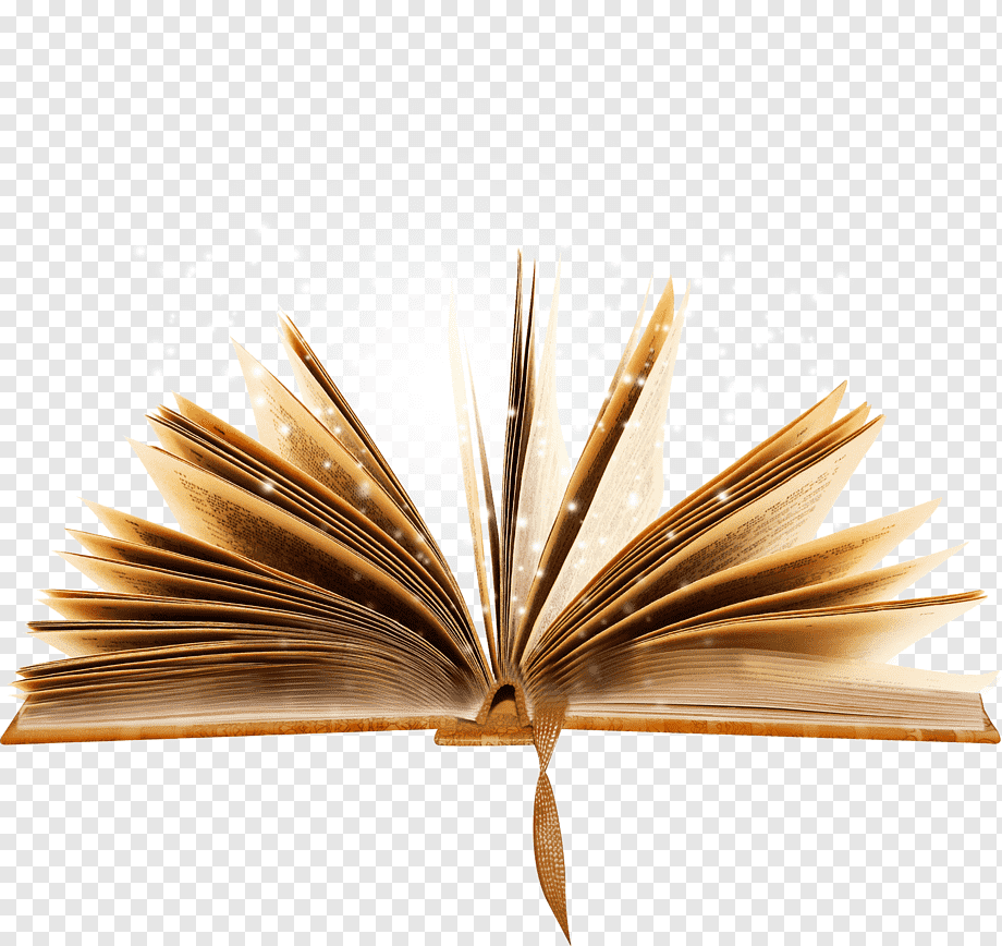Раскрытая книга