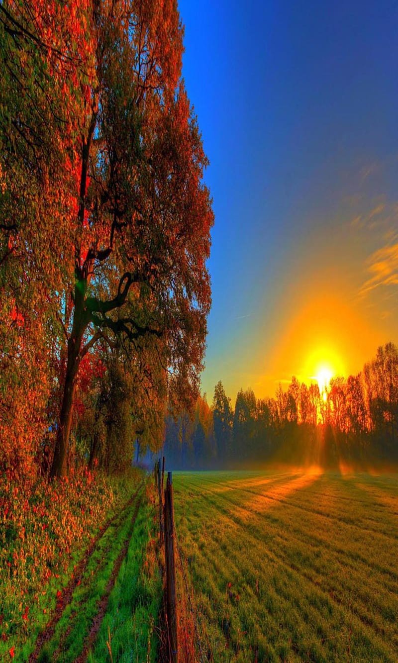Природа по вертикали