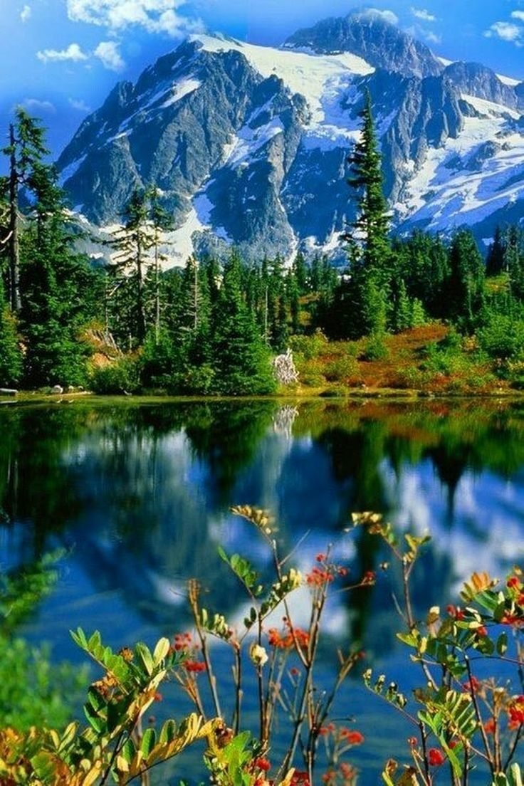 Красивая природа