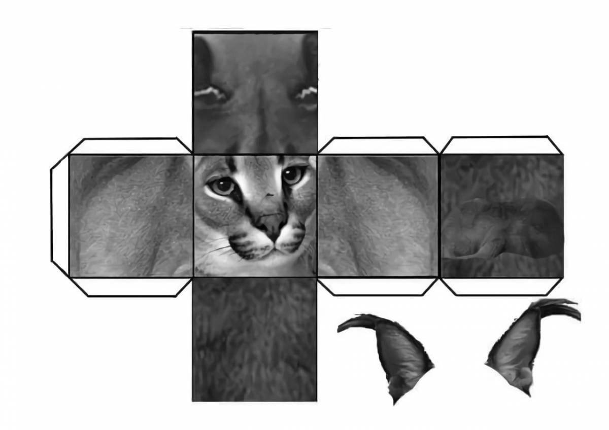 Макет котика