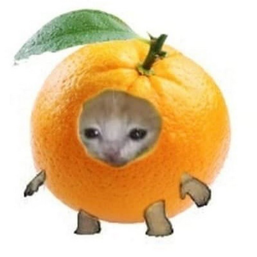 Котики фрукты