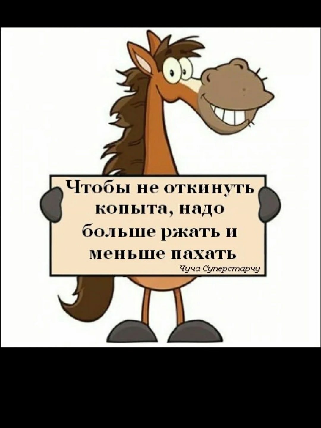 Лошадь отбросила копыта приколы